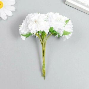 Цветы для декорирования Астра белая 1 букет-6 цветов 10 см 10 шт