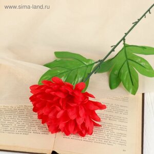 Цветы искусственные "Пион садовый" 46 см, d-14, красный