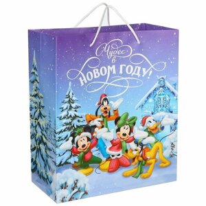 Disney Пакет ламинированный вертикальный, 23 x 27 x 11,5 см "Чудес в Новом году", Микки и его друзья