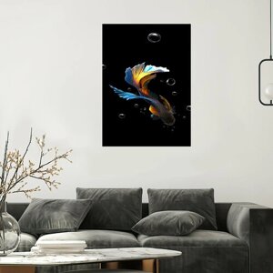 Интерьерная картина на холсте - Цветная рыбка плавающая на черном фоне 60х80