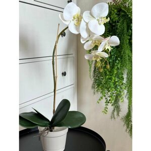 Искусственная Орхидея силиконовая в кашпо для декора интерьера