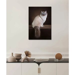 Картина - бирманская кошка, белая шерсть, пушистая кошка, ласковая кошка (30) 50х70