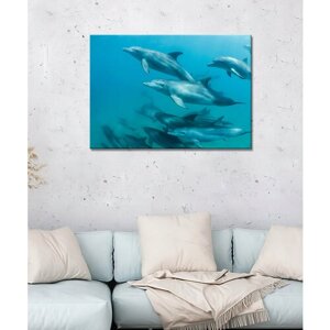 Картина - дельфин, экзотический дельфин, живая природа, дельфин в море (15) 60х80