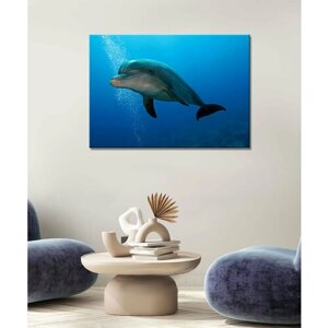 Картина - дельфин, экзотический дельфин, живая природа, дельфин в море (27) 60х80