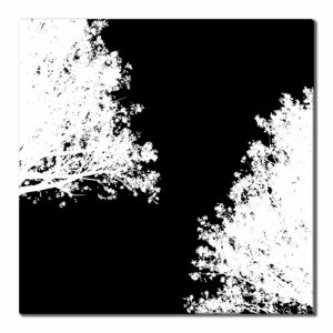 Картина для интерьера на холсте "Деревья белое-черное" хай-тек 40х40, холст натянут на подрамник