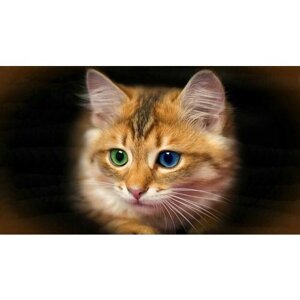 Картина на холсте 110x60 LinxOne "Котенок глаза цвет рыжик разные" интерьерная для дома / на стену / на кухню / с подрамником