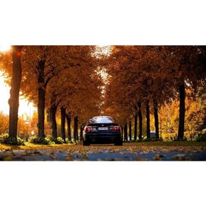 Картина на холсте 60x110 Альянс Лес "Листья БМВ оcень BMW фары" на подрамнике / интерьер/ декор