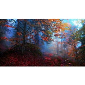 Картина на холсте 60x110 Альянс Лес "Осень туман деревья лес" на подрамнике / интерьер/ декор