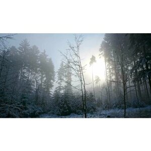 Картина на холсте 60x110 Альянс Лес "Зима лес утро" на подрамнике / интерьер/ декор