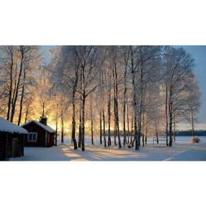Картина на холсте 60x110 LinxOne "Финляндия берёзы деревья" интерьерная для дома / на стену / на кухню / с подрамником