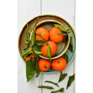 Картина на холсте 60x110 LinxOne "Мандарины, фрукты, листья, тарелки" интерьерная для дома / на стену / на кухню / с подрамником
