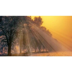 Картина на холсте 60x110 LinxOne "Туман солнечные лучи зима" интерьерная для дома / на стену / на кухню / с подрамником