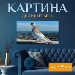 Картина на холсте "Будапешт, голубь, портрет" на подрамнике 75х40 см. для интерьера