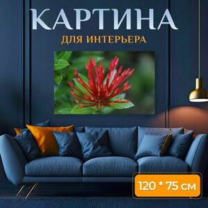 Картина на холсте "Цветок, сад, природа" на подрамнике 120х75 см. для интерьера