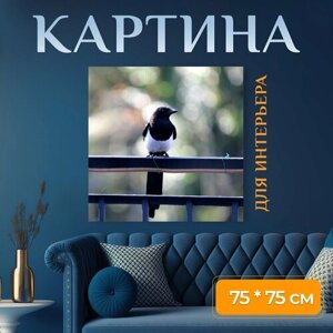 Картина на холсте "Дикая природа, птица, сорока" на подрамнике 75х75 см. для интерьера