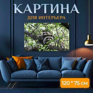 Картина на холсте "Енот, животное, дикая природа" на подрамнике 120х75 см. для интерьера