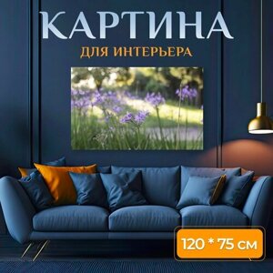 Картина на холсте "Фиолетовый, площадка, природа" на подрамнике 120х75 см. для интерьера