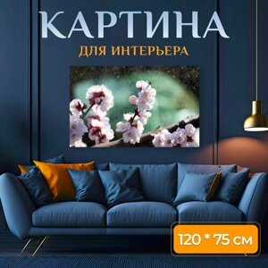 Картина на холсте "Флора, дерево, белый" на подрамнике 120х75 см. для интерьера