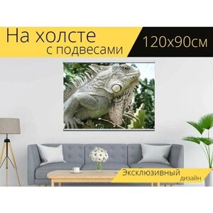 Картина на холсте "Игуана, рептилия, бонайр" с подвесами 120х90 см. для интерьера