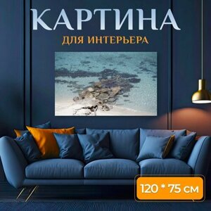 Картина на холсте "Калабрия, пейзаж, море" на подрамнике 120х75 см. для интерьера