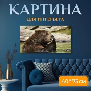 Картина на холсте "Нести, бурый медведь, животные" на подрамнике 75х40 см. для интерьера