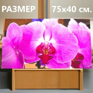 Картина на холсте "Орхидея, цветок, весна" на подрамнике 75х40 см. для интерьера