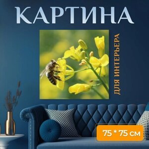 Картина на холсте "Природа, пчела, насекомое" на подрамнике 75х75 см. для интерьера