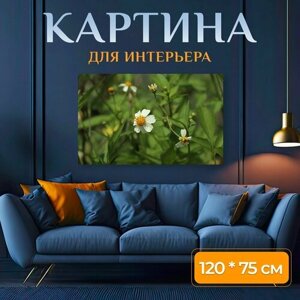 Картина на холсте "Ромашки полевые цветы, белый, желтый" на подрамнике 120х75 см. для интерьера