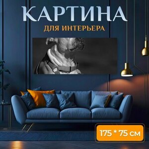 Картина на холсте "Собака, собачий, домашний питомец" на подрамнике 175х75 см. для интерьера