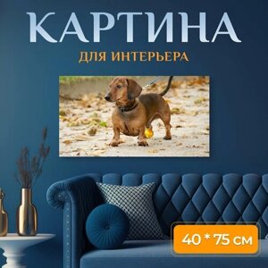 Картина на холсте "Собака, такса" на подрамнике 75х40 см. для интерьера