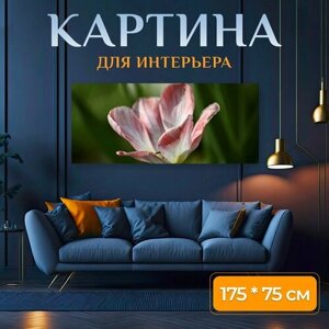 Картина на холсте "Тюльпан, цвести, цветок тюльпана" на подрамнике 175х75 см. для интерьера