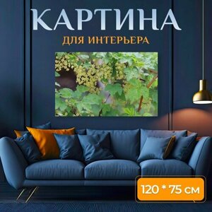 Картина на холсте "Весна, смородина, природа" на подрамнике 120х75 см. для интерьера