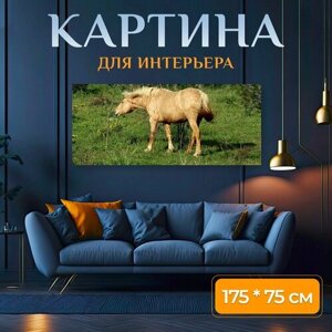 Картина на холсте "Животное, лошадь, природа" на подрамнике 175х75 см. для интерьера