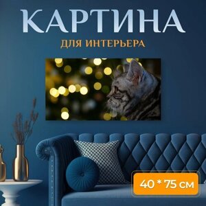 Картина на холсте "Животное, рождество, кот" на подрамнике 75х40 см. для интерьера