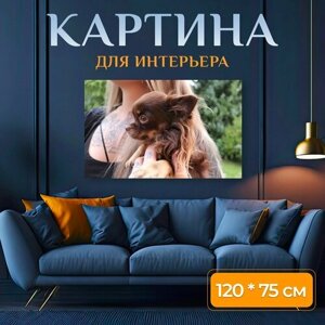 Картина на холсте "Животное, собака, девочка" на подрамнике 120х75 см. для интерьера