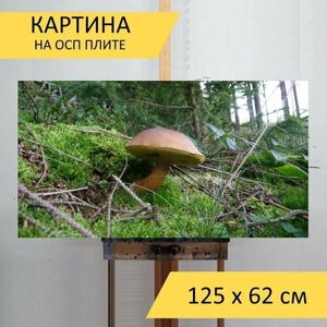 Картина на ОСП 125х62 см. Лес, гриб, грибы" горизонтальная, для интерьера, с креплениями
