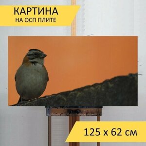 Картина на ОСП 125х62 см. Птица, апельсин" горизонтальная, для интерьера, с креплениями