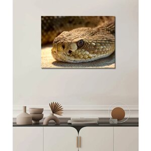 Картина - змея, техасский гремучник, ямкоголовая змея, ядовитая змея, большая змея, кожа змеи (11) 20х30