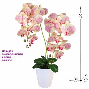 Композиция из цветов Орхидея бежево-лиловая 2 ветки 55 см в кашпо от ФитоПарк