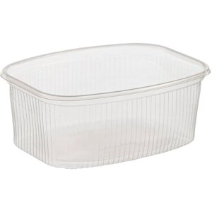 Контейнер с крышкой одноразовый для еды, набор пластиковой посуды, 100 шт, 1000 мл, 138 х 102 мм, прозрачный