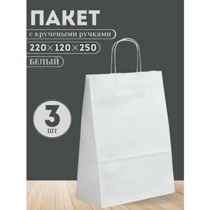 Крафт пакет бумажный фасовочный с крученными ручками 3 шт 22x12x25 см плотность 80 гр