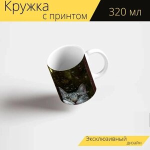 Кружка с рисунком, принтом "Кот, окно, снег" 320 мл.