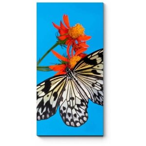 Модульная картина Бабочка на алом бутоне 90x180