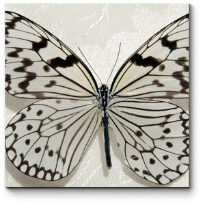 Модульная картина Черно-белая бабочка 120x120