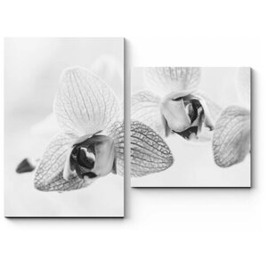Модульная картина Черно-белые орхидеи 190x143