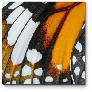 Модульная картина Крылья бабочки 130x130