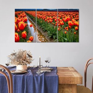 Модульная картина/Модульная картина на холсте/Модульная картина в подарок/Поле красных тюльпанов - Field of red tulips90х50