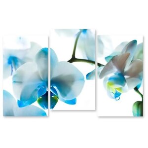 Модульная картина на холсте "Очаровательная орхидея" 120x77 см