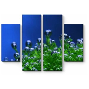 Модульная картина Пузырьки воды на водорослях 180x135