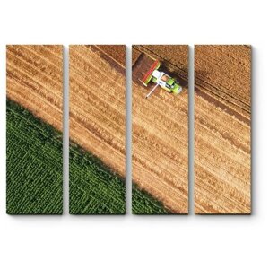 Модульная картина Сбор урожая 160x120
